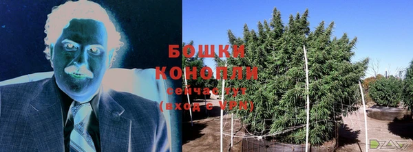 трава Балахна